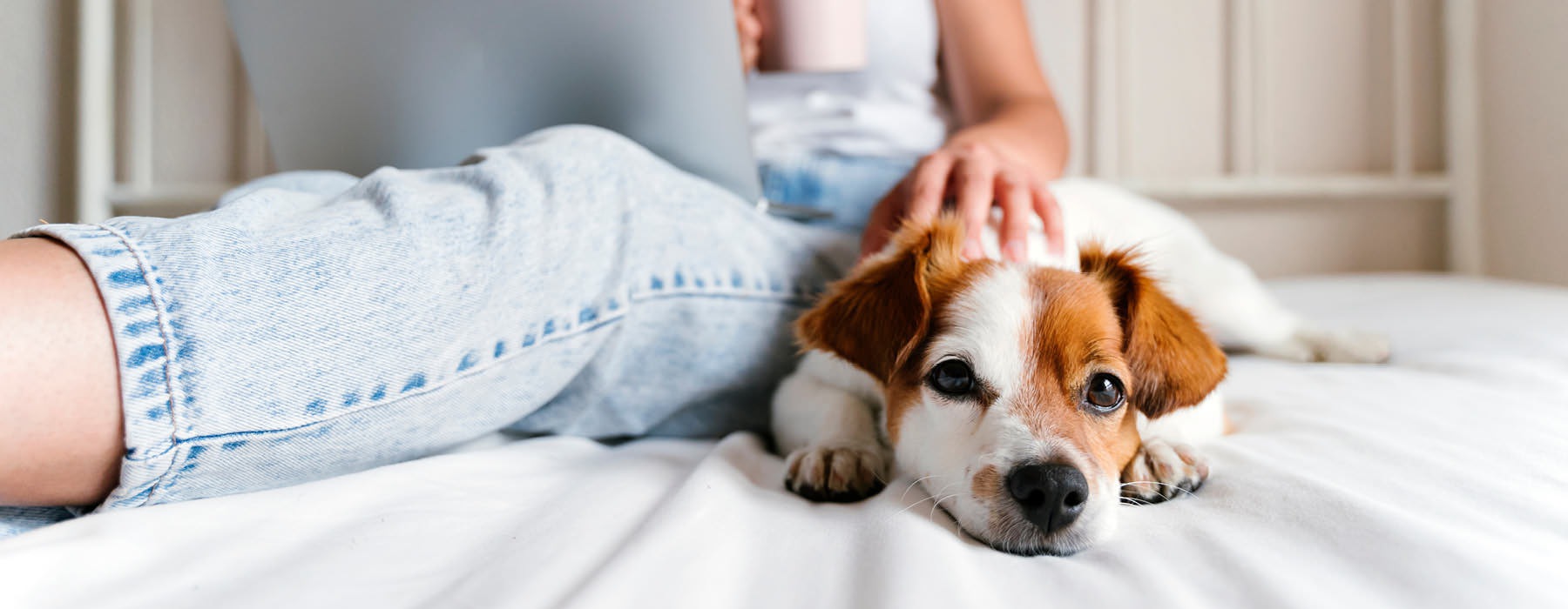 woman pets her dog on bed